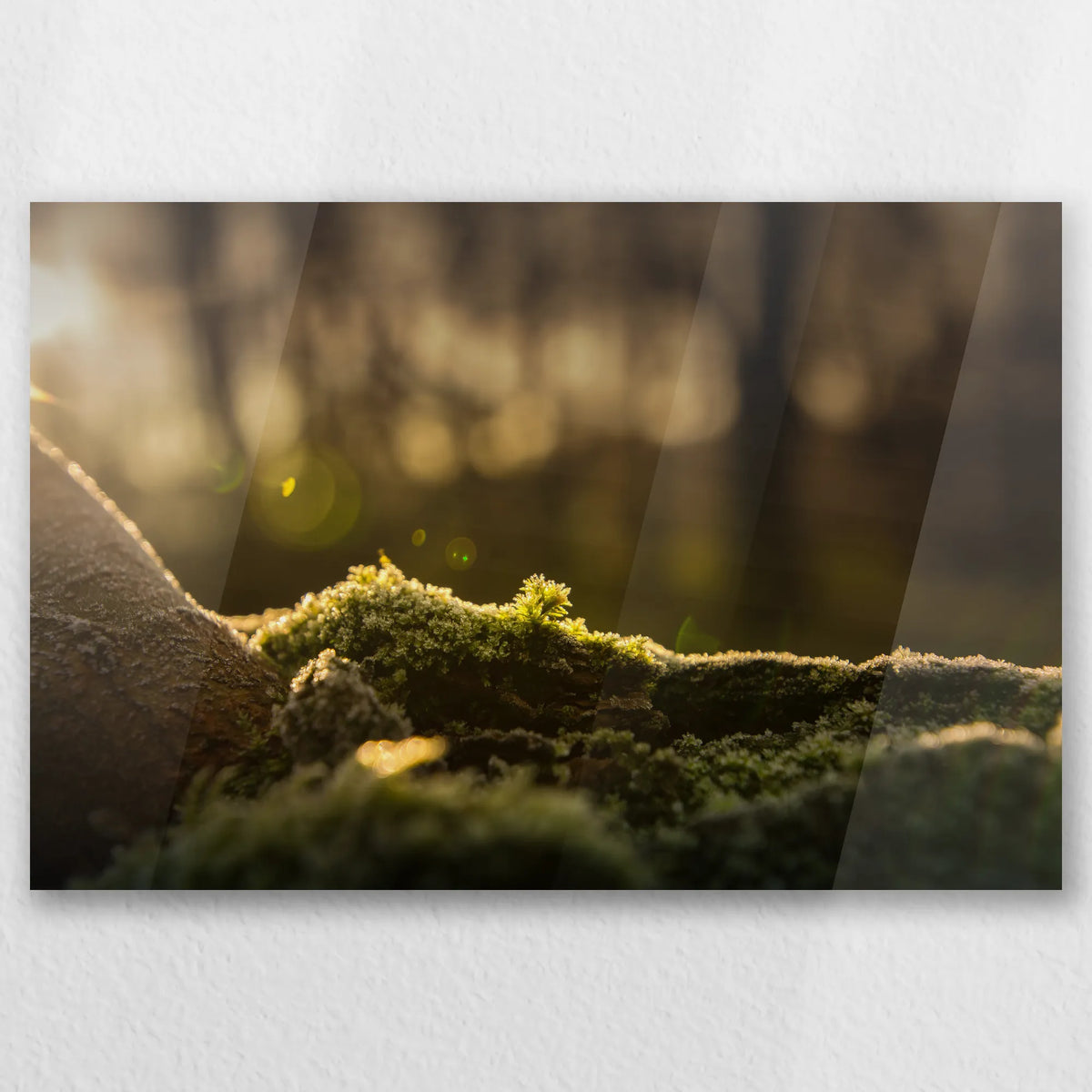 AC-030W020
