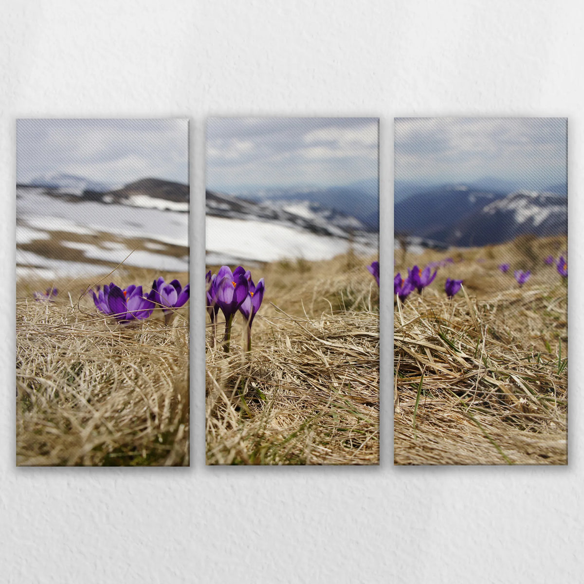 LW-150R100