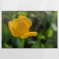 AL-120W080