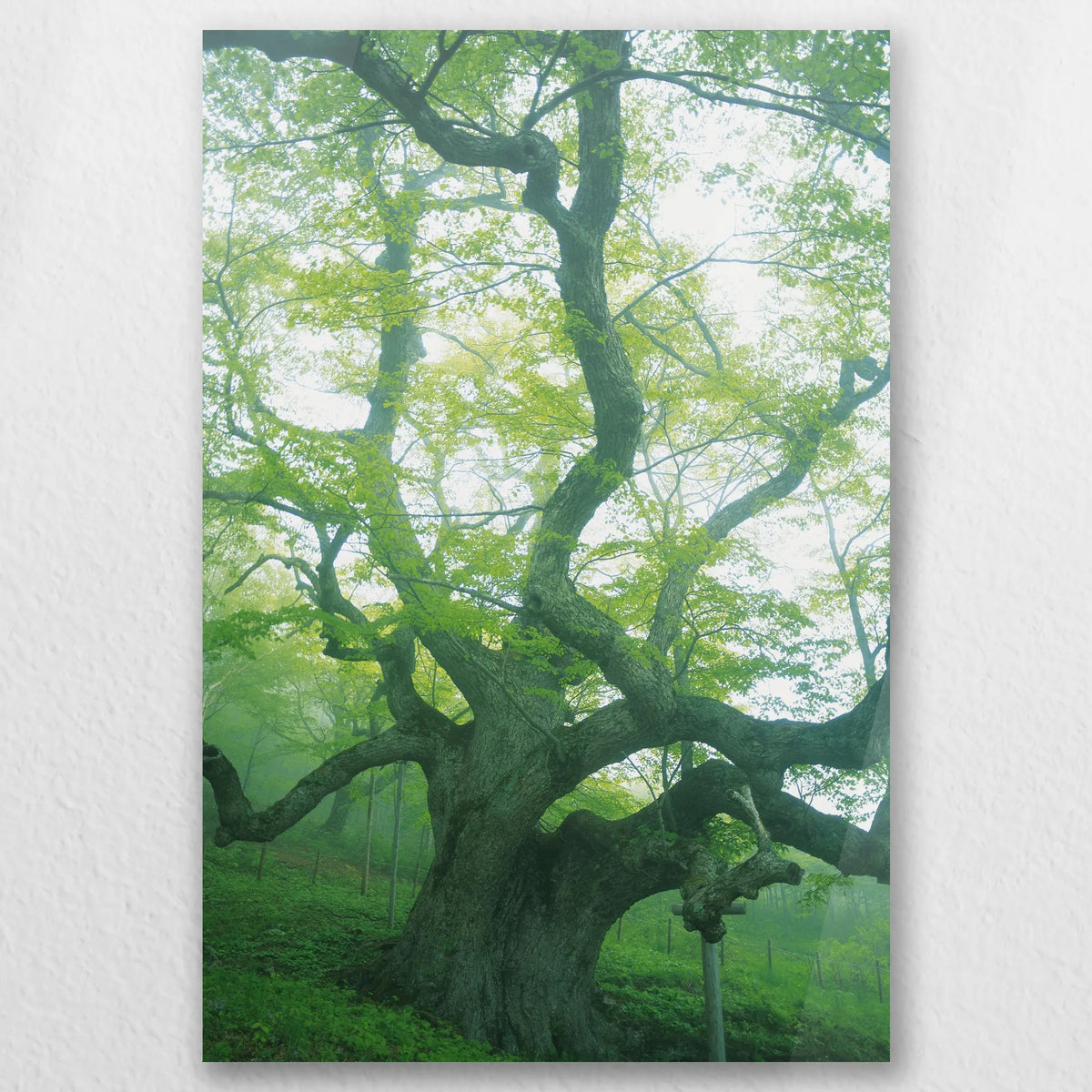 AC-030W045
