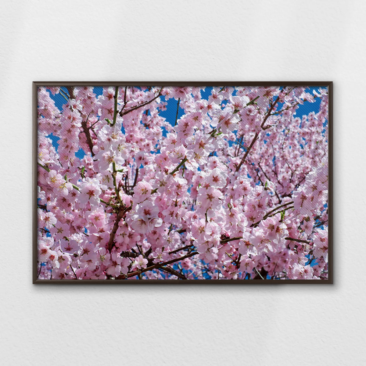 LWN100W070