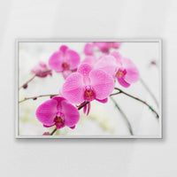 PW-093W062