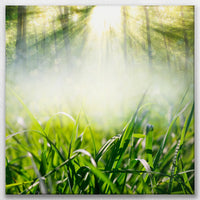 LW-090W090