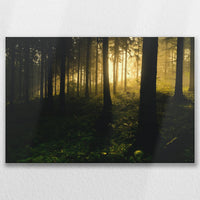 LW-075W050