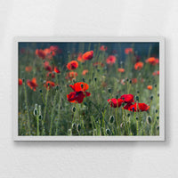 LWW060W040
