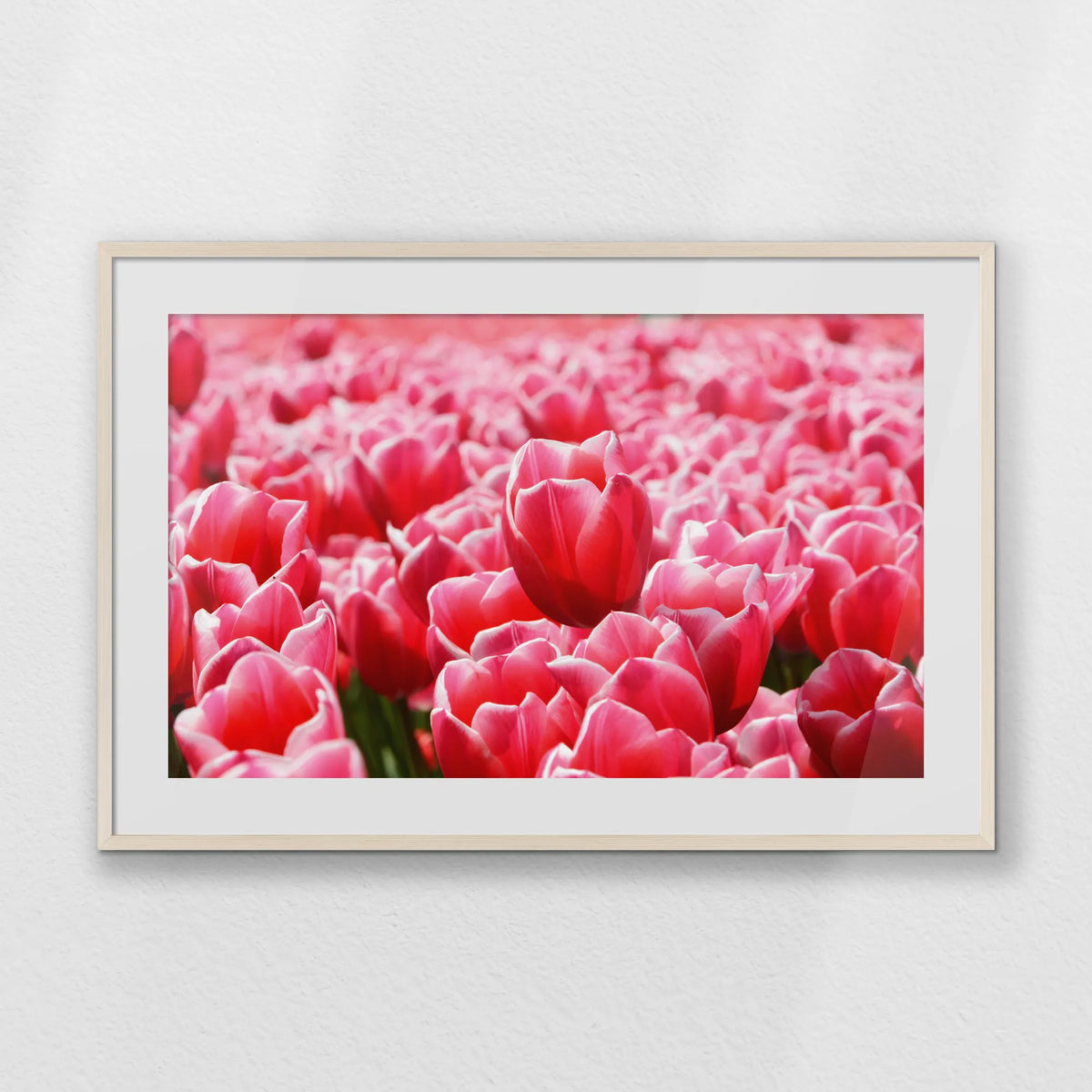 PNP100W070