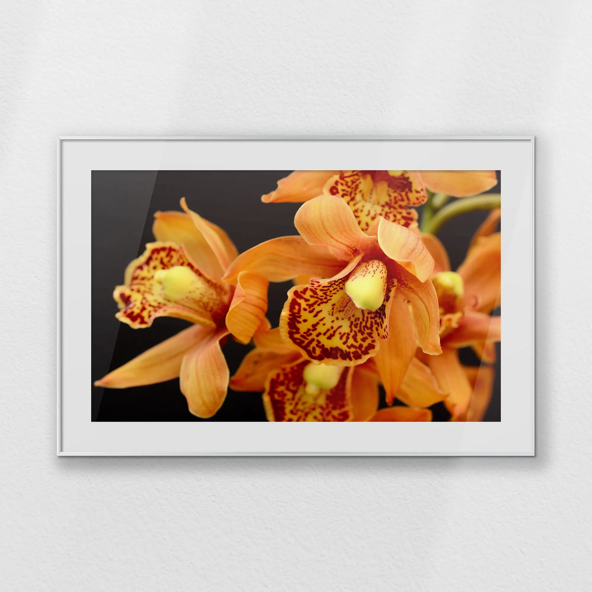 PSP100W070