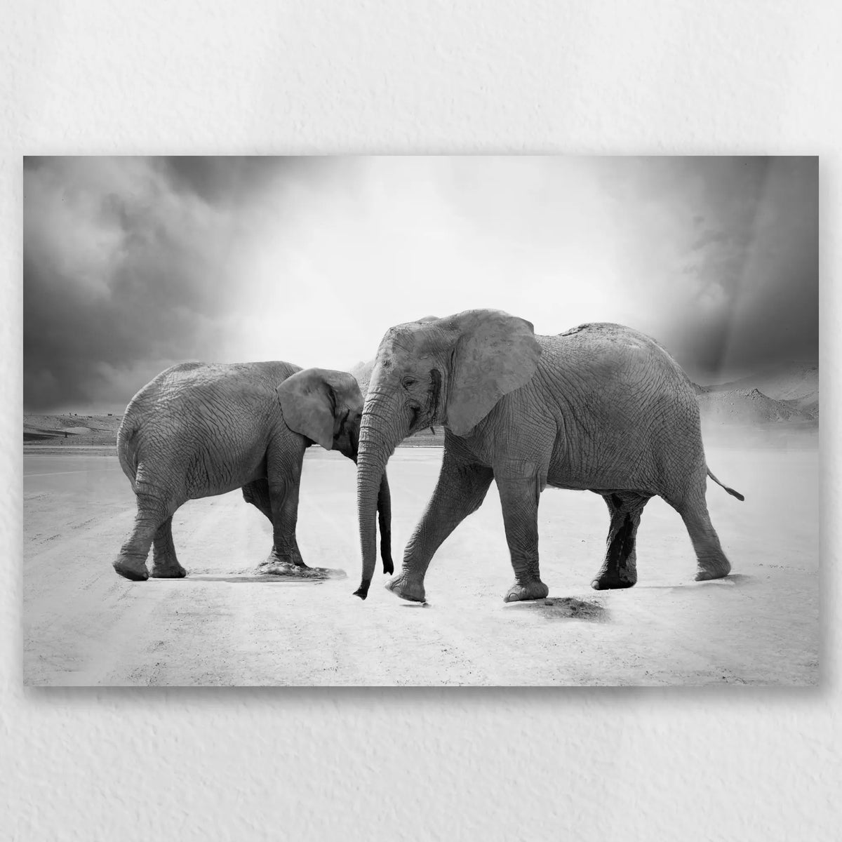 AL-045W030