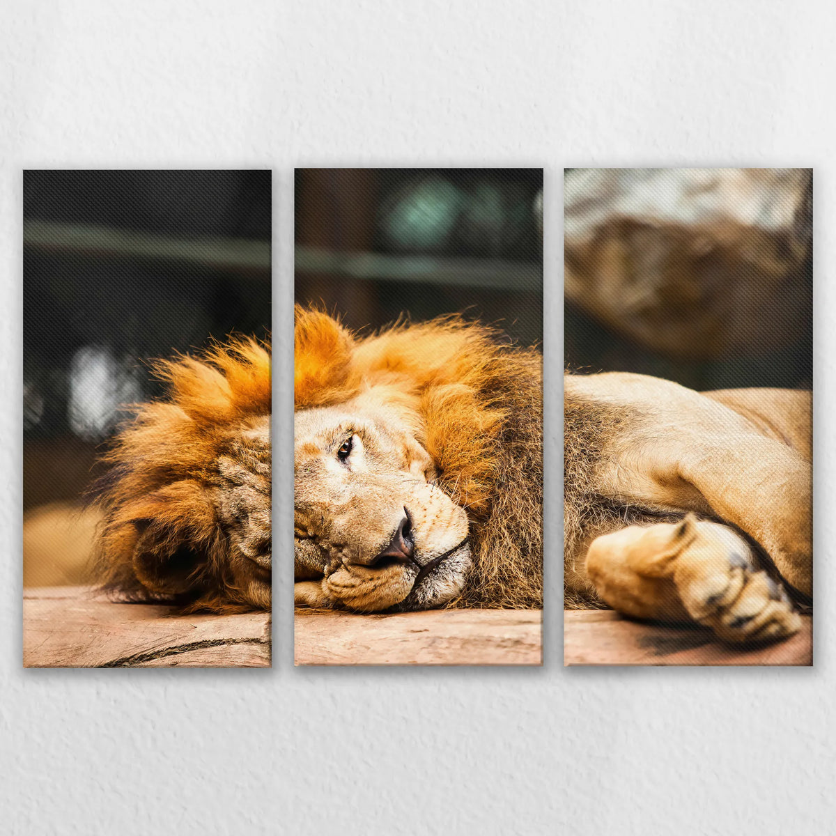 LW-120R080