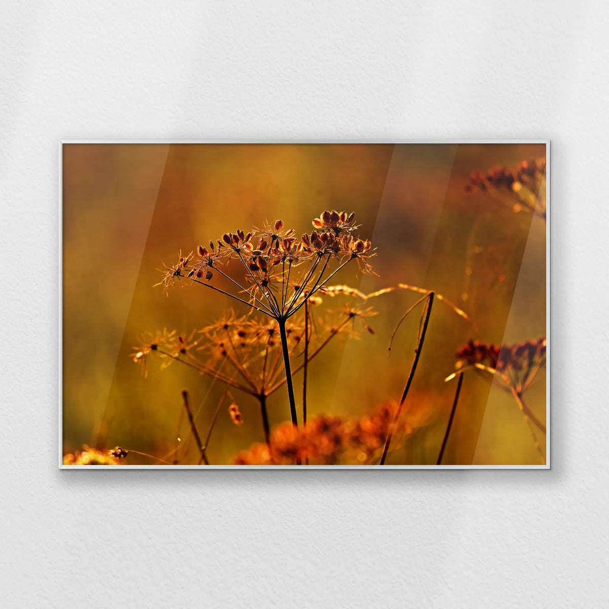 PS-100W070