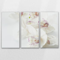 LW-120R080