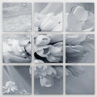 LW-270Z270