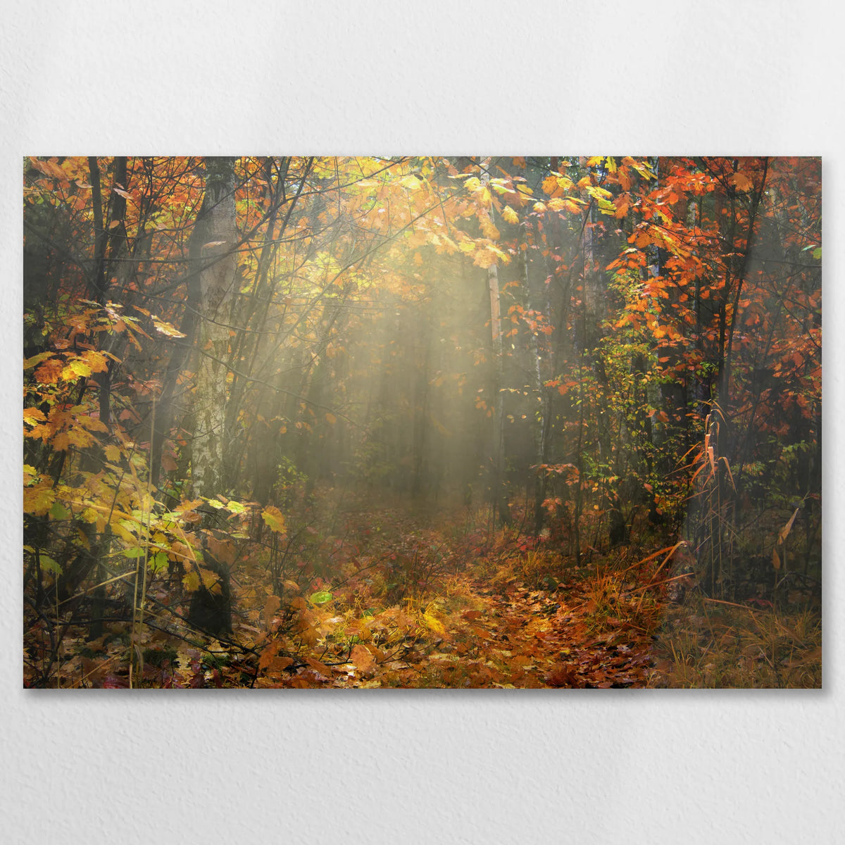 AL-090W060