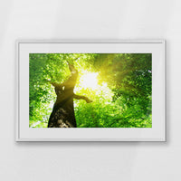 PWP093W062