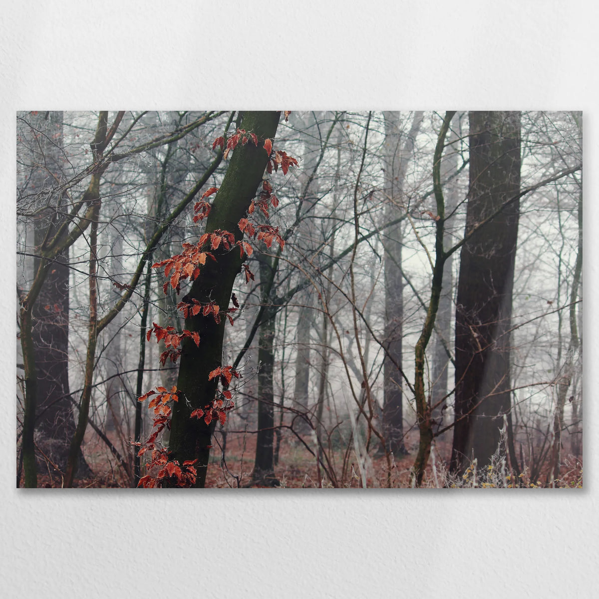 AL-090W060