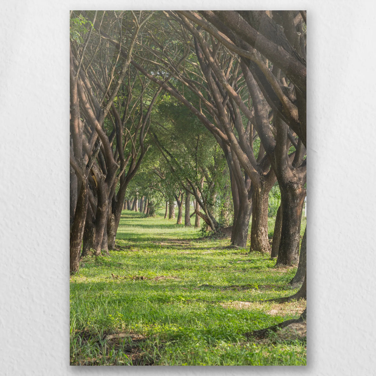 AC-030W045