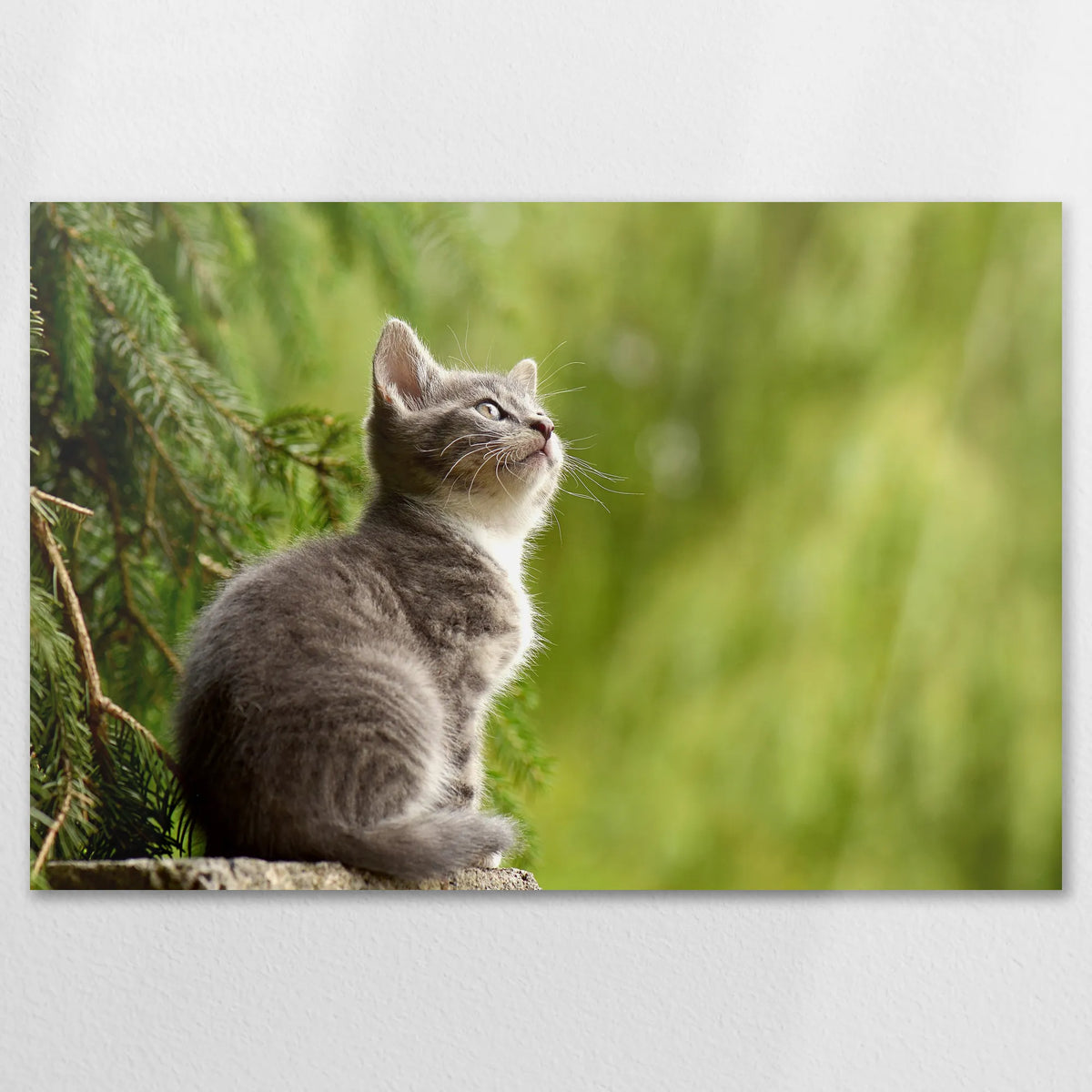 AL-120W080