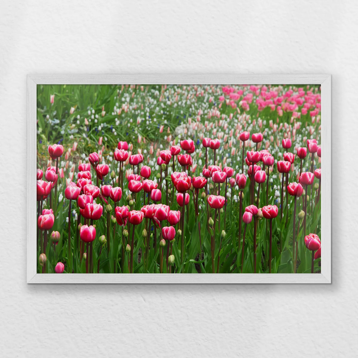 PW-060W040