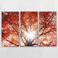 LW-150R100
