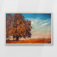 PN-093W062
