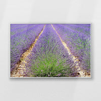 PS-093W062