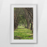 PWP062W093