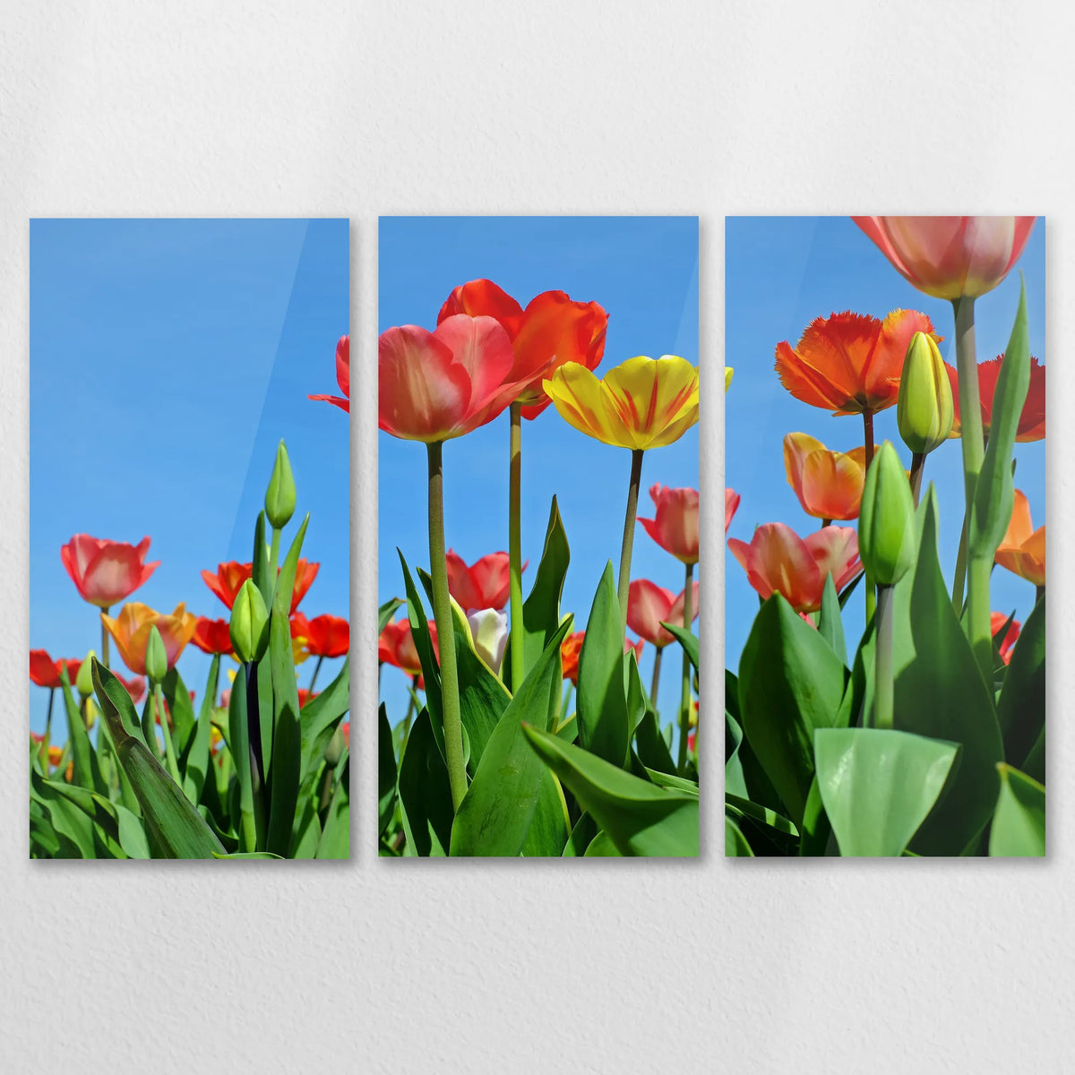 AC-150R100