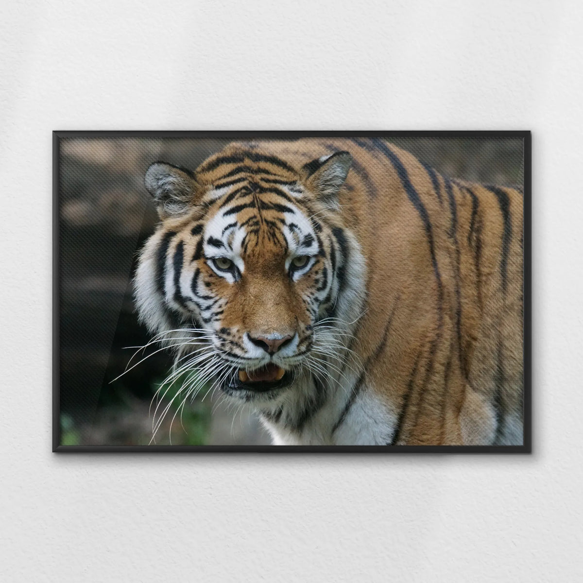 LWB120W080