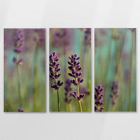 AC-150R100