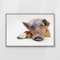 PB-120W080
