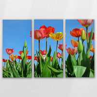 LW-120R080