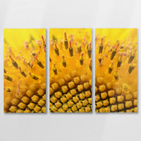 AC-090R060