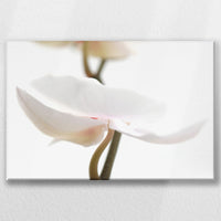 LW-045W030