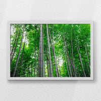 LWW060W040