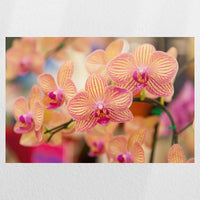 PO-045W030