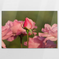 AL-120W080