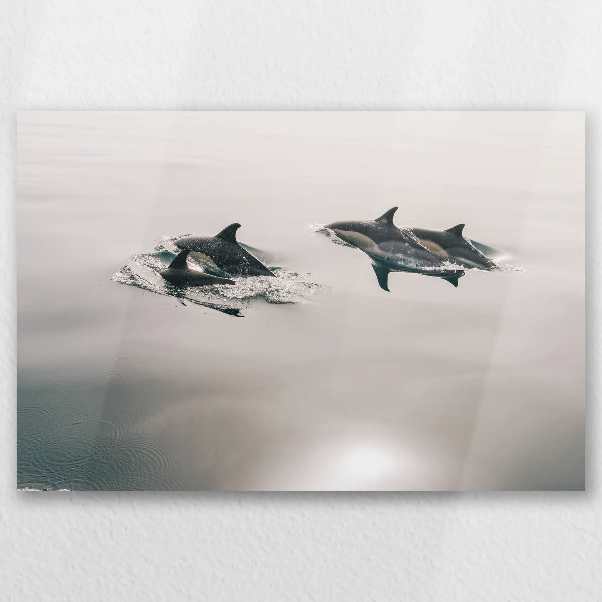 AL-045W030