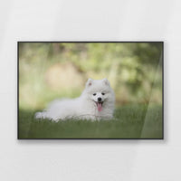 PB-100W070