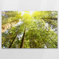 AC-075W050