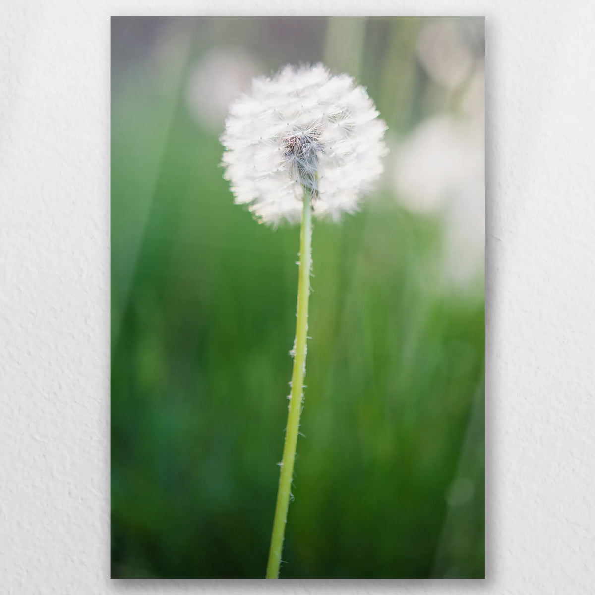 AL-030W045