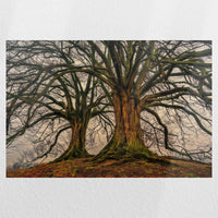 PO-030W020