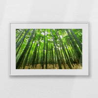 PSP093W062