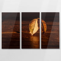AC-090R060