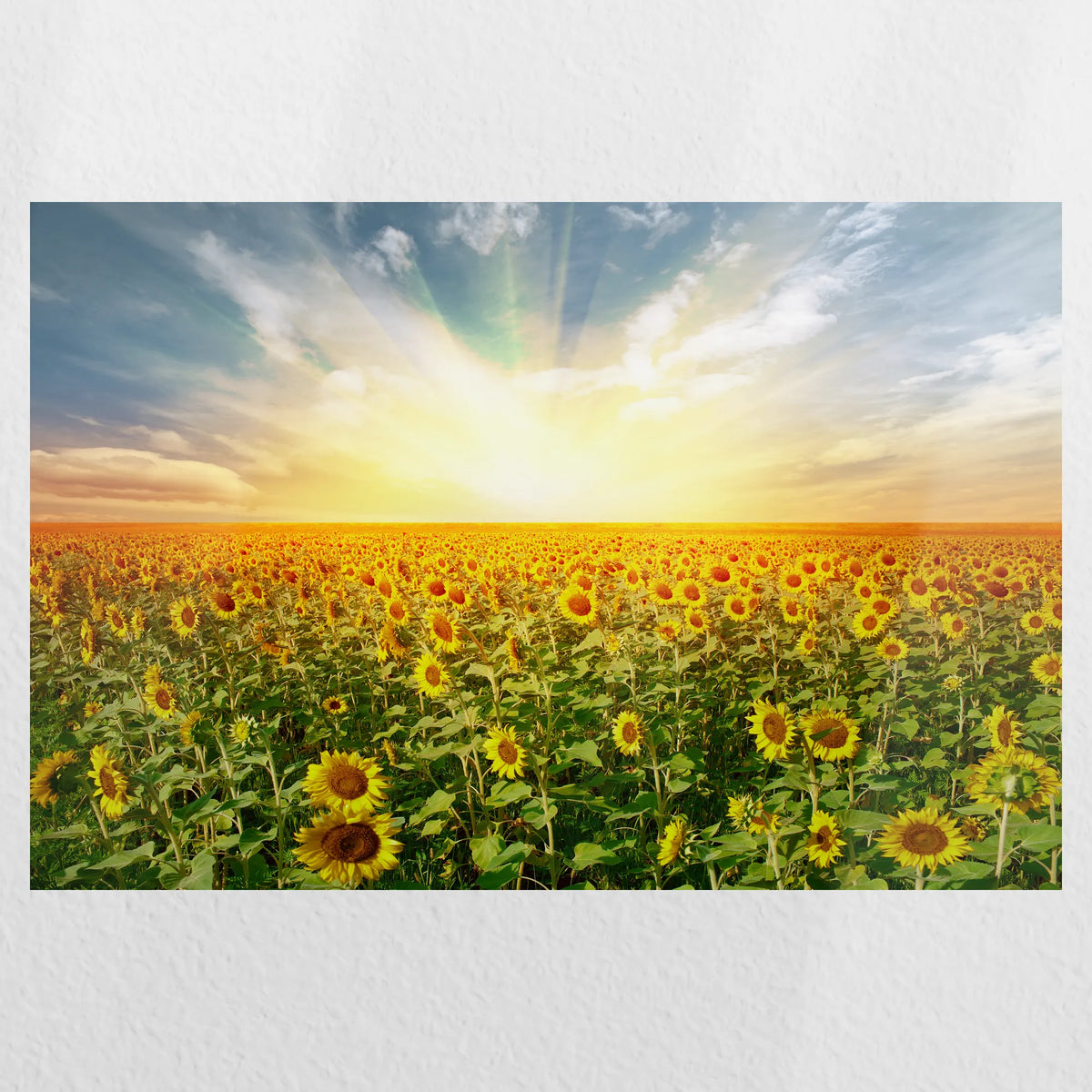 PO-060W040