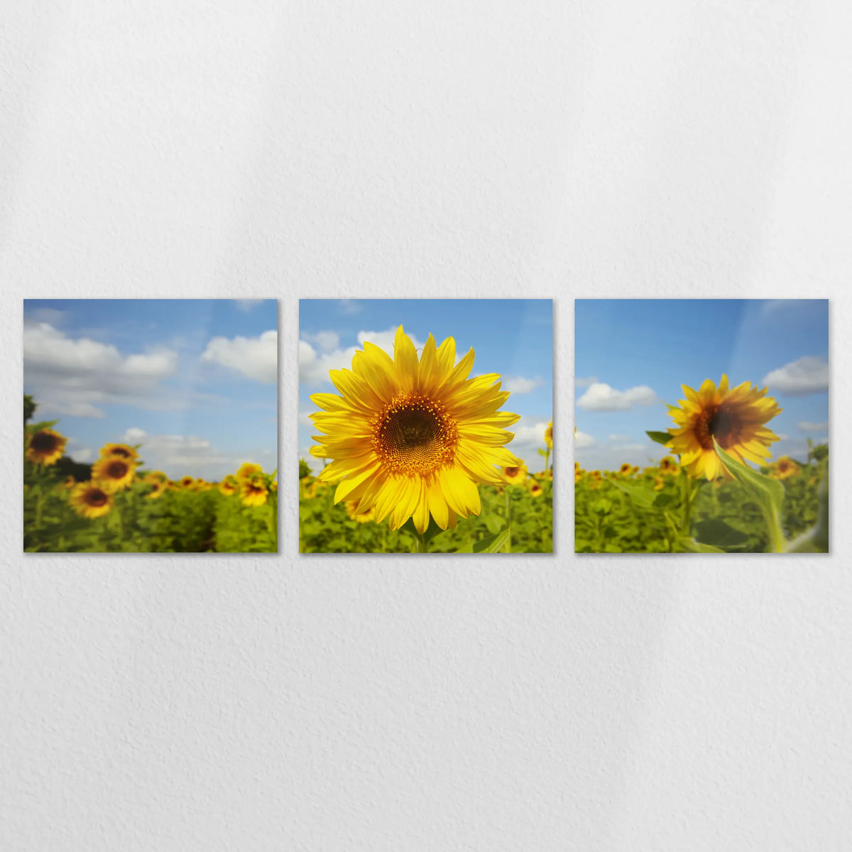 AL-240S080