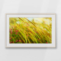 PNP100W070