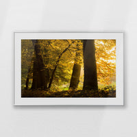 PSP120W080