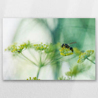 AL-030W020