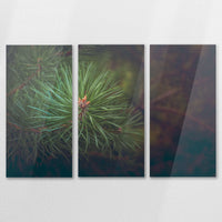 AC-120R080