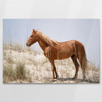 AL-090W060